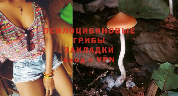 спиды Алексин