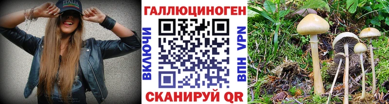 Галлюциногенные грибы Cubensis  Алзамай 